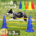 【LINE登録で200円OFFクーポン配布中】 アジリティ 犬 コーン 6個 ポール 3本 セット 高さ調節 3段階 カラーコーン バー コーンバー ドッグ ドッグラン ジャンプバー ハードル スラローム 三角コーン 運動器具 屋外 送料無料 3ss その1