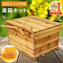 【最大7%OFFクーポン14日20:00〜利用条件あり】 巣箱 ミツバチ 西洋 養蜂 器具 養蜂用具 ミツバチ箱 飼育セット バンブルビー巣箱 ハチ巣箱 巣箱キ...