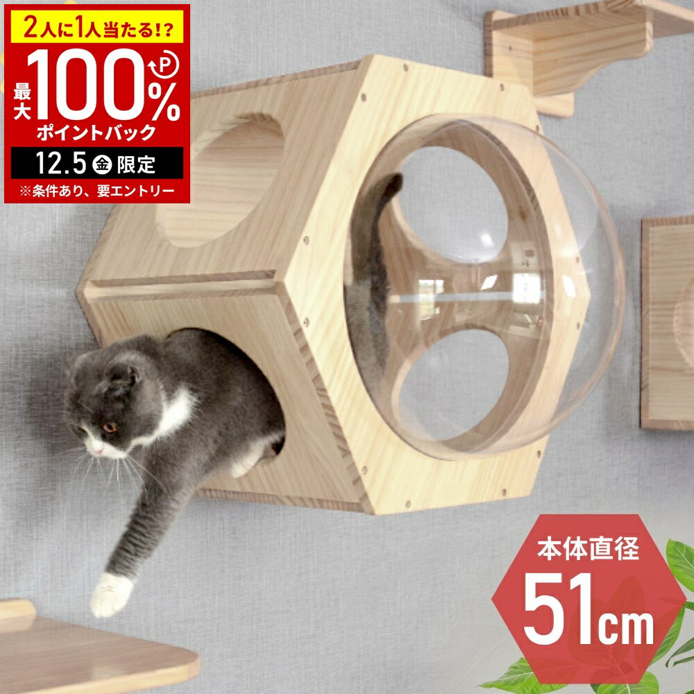 【半額 & 7%OFFクーポン4日20時〜 利用条件あり】 キャットウォーク 壁 壁付け 猫 壁掛け 棚板 足場 キ..