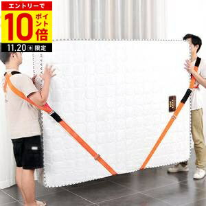 【LINE登録ですぐ使えるクーポン配布中】 運搬ベルト キャリーベルト 引越しベルト 2本セット 耐荷重20..