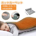 ★在庫処分★ホットマット ホットカーペット 一人用 ミニマット デスク下 足元 60×30cm /74x38cm 省エネ タイマー 6段階温度調節 電気毛布 洗...