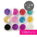 ★全国送料無料★シェルパウダー 12色セット クラッシュホログラム ジェルネイル ネイルアート UVレジン ネイルパーツ ネイル用品 天然シェルに着色 貝殻 ネ...