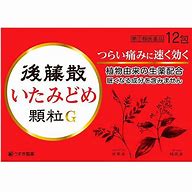 後藤散いたみどめ顆粒G　12包【指定第2類医薬品】