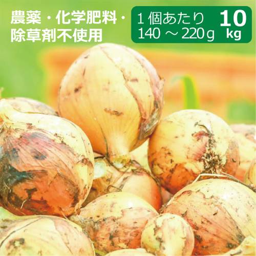 農薬・化学肥料・除草剤不使用　玉ねぎ 10kg ※玉ねぎのサイズは1個当たり140g～220g ※送料無料（一部地域を除く）【健康サポート農園】