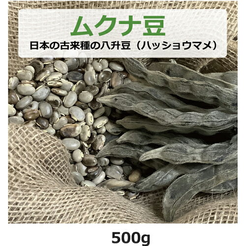 ムクナ豆 日本の古来種の八升豆 500g ハッショウマメ 【ゆうパケット送料無料】 【健康サポート農園】無農薬・無化学肥料・無除草剤 自社農園 大阪産 ムクナ Mucuna 八升豆 むくな豆 ドーパミ…