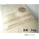 EM栽培米ヒノヒカリ 玄米5kg　【無農薬・有機肥料】 ※送料無料（一部地域を除く）※同梱不可