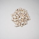 有機グレートノーザンビーンズ (500g) 【アリサン】
