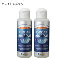 ■商品名：GREAT MINERAL グレイトミネラル■容量：100mlx2本セット【40日分】■メーカー：グリーンハート・インターナショナル■賞味期限：製造日より5年間■原産国：ソルトレイク（アメリカユタ州）■原材料：塩水湖水低塩化ナトリウム液（塩水湖水ミネラル液）■栄養成分：ナトリウム、マグネシウム、カリウム、ヨウ素■お召し上がり方：1日40滴（約2.5ml）をお飲み物、お料理に薄めてお使いください。■商品詳細：理想的な天然ミネラルバランスが心身ともにトータルな健康を守り、お料理やお飲み物の味も引き立てます。■ご使用上の注意：個人差でお腹がゆるむ場合があります。この場合は量を調整してください。※商品名の末尾に記載している特典は、当店に在庫が無い場合 特典のみ別送させていただく （あす楽対象外となる）場合がございます。ご了承ください。