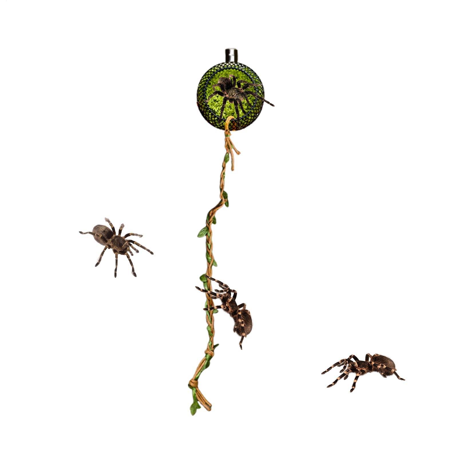 クモケージ | 磁石式 隠れ家 付き ロープブリッジ - 装飾 用 探査 休憩 餌付け 生息地 爬虫類 昆虫 多足類