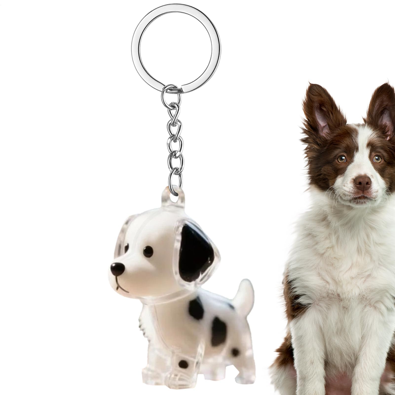 ヘアコレクターのキーチェーン、透明な記念品キーチェーン、犬の髪のメモリホルダー、バッグのメモリアルギフト、バックパック、財布、ペット愛好家、装飾的なアクセサリー、動物、犬、猫、0.97インチ