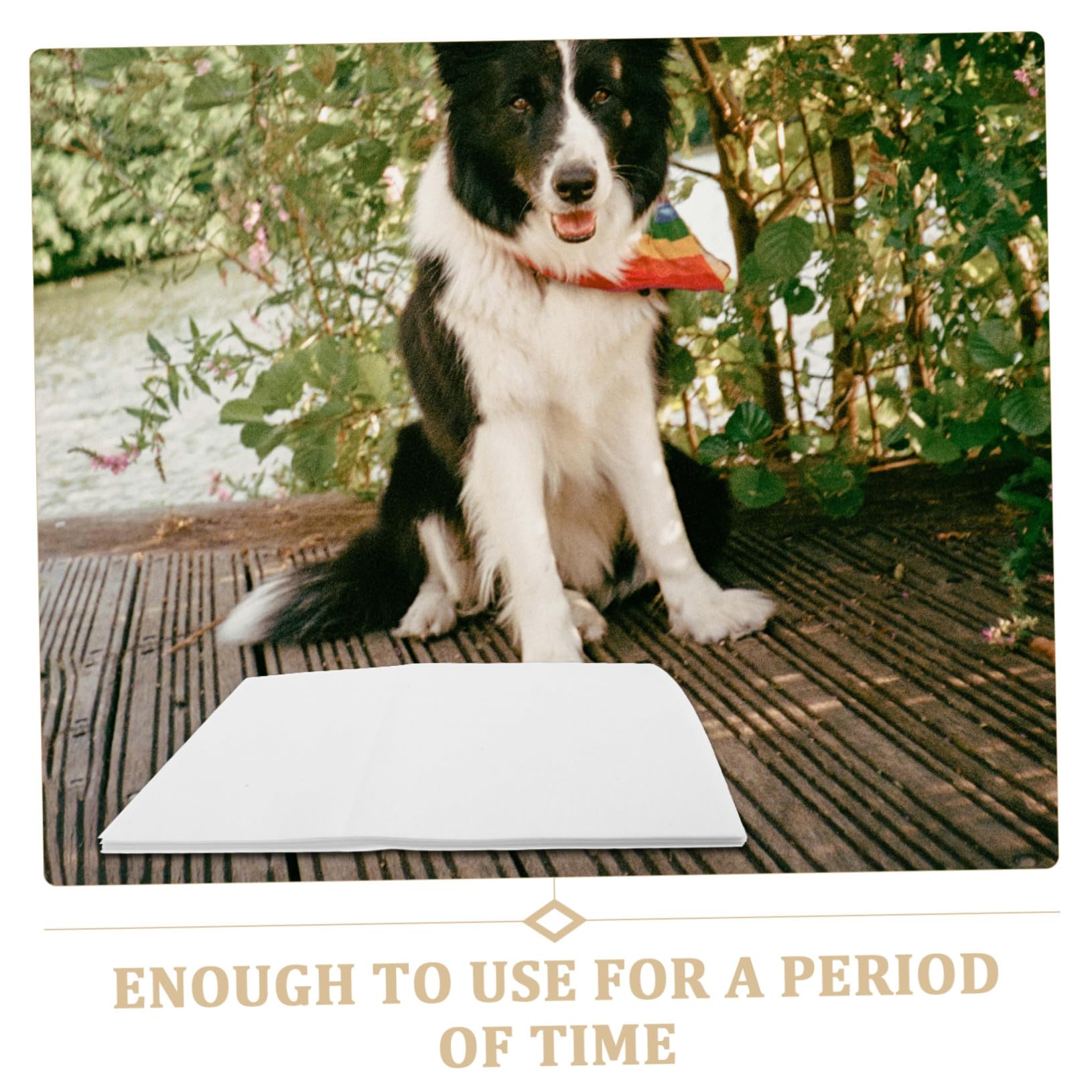 50個 ペット用使い捨て尿吸収パッド 厚手吸水シート 犬猫兼用 子犬トレーニング清潔保持 快速吸収で床を汚れから守る