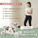 【送料無料】ステッパー 静音 省スペース 自宅で有酸素運動 踏み台運動 室内 エクササイズマシン ダイエット器具 有酸素運動 ナイスデー ながら運動 室内