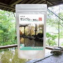 【温泉の素 サンバレー那須 平成の湯】【ゆうパケット可/3個まで】温泉入浴剤 温泉の素 栃木県 那須温泉 温泉の素 御歳暮 ギフト 温泉 お返 内祝 プレゼント