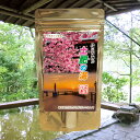 【温泉の素 土肥の湯】【ゆうパケット可/3個まで】温泉入浴剤 温泉の素 静岡県 土肥温泉 伊豆市観光協会 温泉の素 御歳暮 ギフト 温泉 お返 内祝 プレゼント