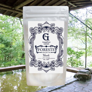 【温泉の素 FORESTE Bath Powder】【ゆうパケット可/3個まで】温泉入浴剤 温泉の素 岐阜県 ホテルグランヴェール岐山 温泉の素 御歳暮 ギフト 温泉 お返 内祝 プレゼント