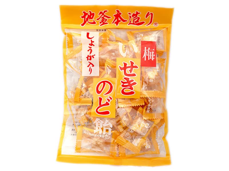 【11/1は当店ポイント5倍】井関食品 100g しょうが入 梅のど飴 10袋