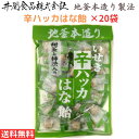 【超PB祭中 ポイント10倍】井関食品 100g甜茶と柿渋入り 辛ハッカはな飴 10袋x2 送料無料