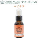 フラワーエッセンスDTW【ハピネス】(正規品)25ml ※スポイト付き※ 植物性こんな状況・お悩みの方に】つい物事を悲観的に考えてしまいがちなあなたへ