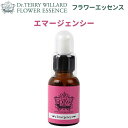 フラワーエッセンスDTW【エマージェンシー】(正規品)10ml ※スポイト付き※ 植物性【こんな状況・お悩みの方に】緊張しやすい。あがり症。という方へ