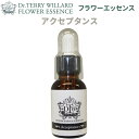 フラワーエッセンスDTW【アクセプタンス】(正規品) 25ml ※スポイト付き※ 植物性