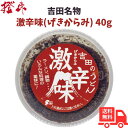 【マラソン中ポイント10倍】吉田のうどん 激辛味 40g 送料無料