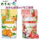 【マラソン中ポイント10倍】カネ松製茶 水出しティーバッグ セットパック (いちご緑茶+みかん緑茶) 送料無料