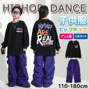 キッズダンス衣装 HIPHOP セットアップ ヒップホップ 子供 トップス へそ出し 無袖 パンツ 長ズボン 女の子 ジャズダンス 練習着 発表会 チアガール(4)