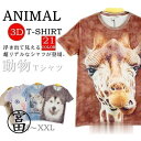 半袖Tシャツ アニマル 3D tシャツ おもしろ 男女兼用 おもしろtシャツ カットソー メンズ メール便
