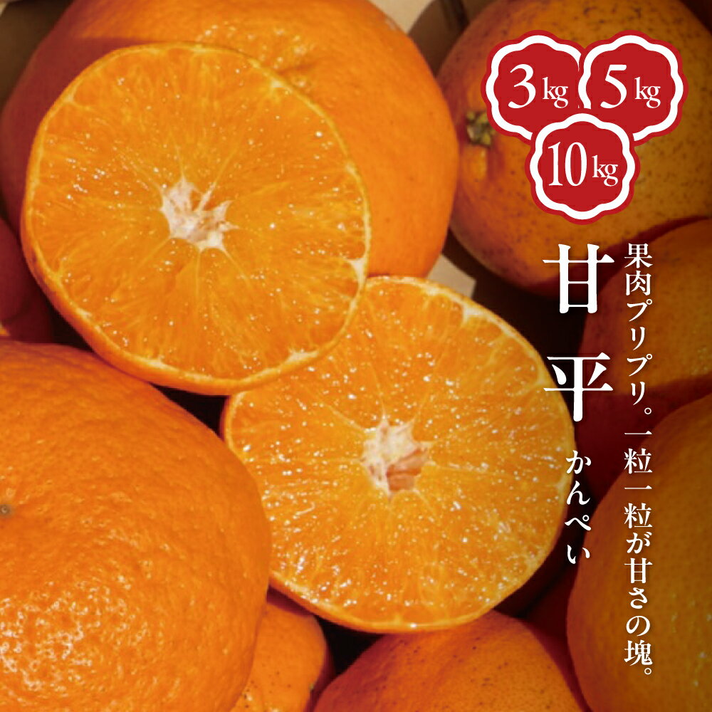 【甘平】愛媛県産 みかん 3kg 5kg 10kg 手摘み 完熟 蜜柑 柑橘 樹上完熟手摘み 甘い 送料無料 ギフト 至極 プレゼント 贈り物 贈呈 農園 愛媛 えひめ