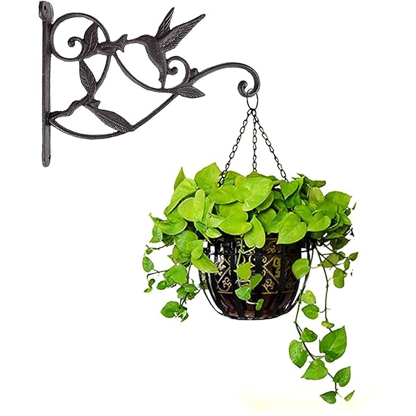 植物ハンガー アイアン ブラケット 手鍛造鉄 壁に取り付け フック 園芸 ガーデンブラケット 庭用植物用..