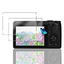 【2枚セット】 対応 Ricoh GR III/GR IIIX ガラスフィルム 【日本旭硝子 硬度9H】 GR3 / GR3X 用 フィルム 強化ガラス 液晶保...