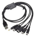 5 in 1 USB 充電ケーブル ニンテンドー New 3DS(XL/LL), 3DS(XL/LL), 2DS, DSi(XL/LL), GBA SP, Wi...