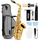 アルトサックス サックス 12点セット bE Eフラット Saxophone ゴールドラッカー サクソフォン ケース付き お手入れセット 彫刻入り 初心者 サックス 入門セット