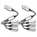 USB分岐器ケーブル 3-in-1USBスプリッタ USB電源分岐器 1オス3メスUSB 2.0アダプタ USB拡張ケーブル USBマルチポート充電/データ転(2パッケージ)
