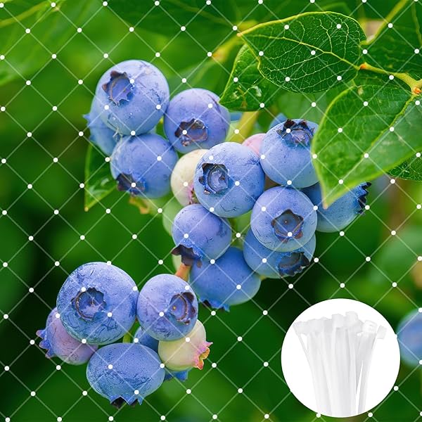 防鳥ネット ベランダ 3m×5m 鳩よけネット 透明 目立たない 鳥よけ ネット 網 ベランダネット 防鳥網 果..