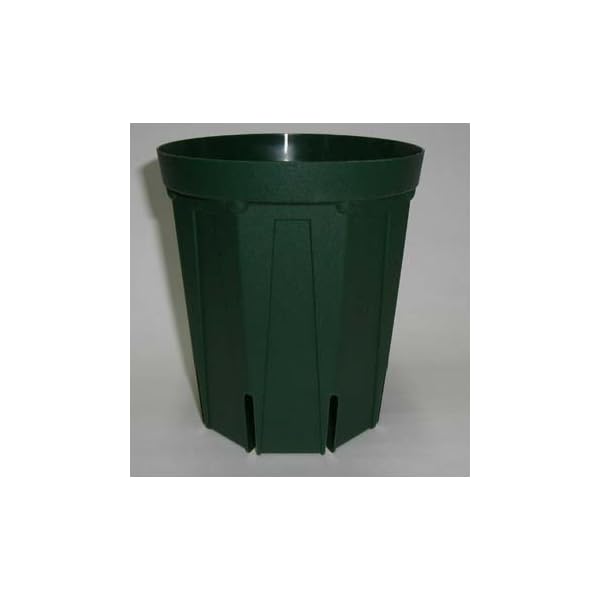 スリット鉢 プラ鉢 12cm ロングタイプ 10個