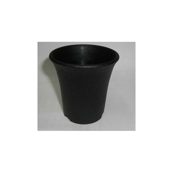 ミニ蘭鉢 プラ鉢 3.5号 10個