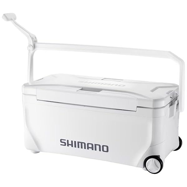 顼ܥå ڡ ٥ 35L 㥹 NS-D35Y ԥ奢ۥ磻