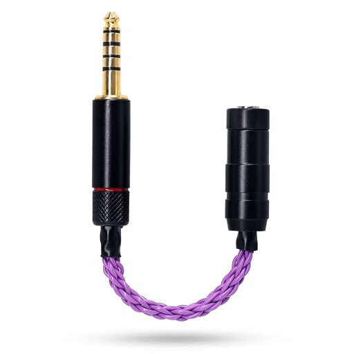 変換ケーブル バランス接続ケーブル ジャック 変換 4.4mm 五極(オス)→ 2.5mm 四極(メス)8芯 10cm 変換ケーブル バランス接続ケーブル ジャック 変換 4.4mm 五極(オス)→ 2.5mm 四極(メス)8芯 10cm