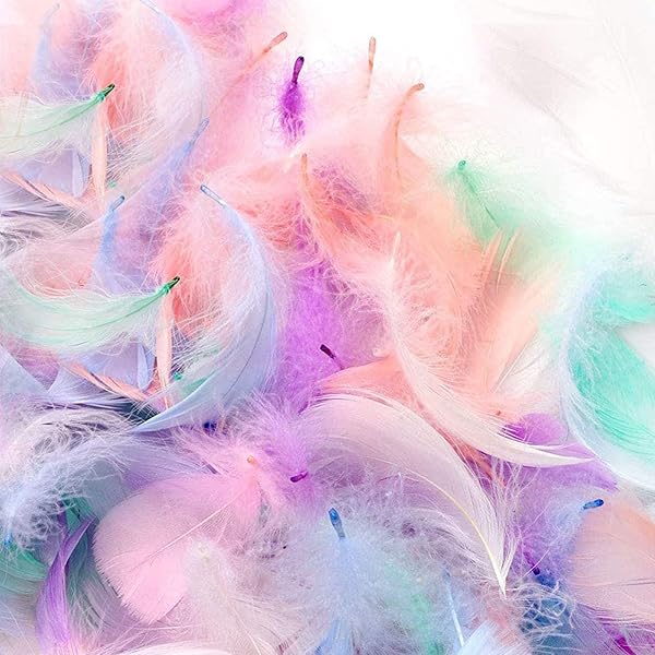 羽シャワー カラフル 天然 染め羽根 DIY装飾小物 ウェディング 誕生日 イベント パーティー 手芸材料（マカロンカラー 200枚）