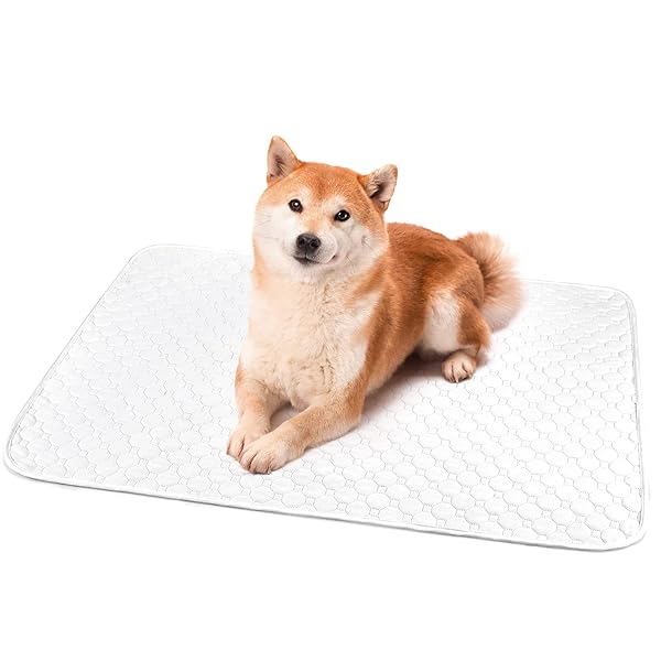 ペットシーツ 洗える 猫 犬用 おしっこパッド トイレ下敷きマット ポリエステル 速乾 洗える 大判サイズ 多頭飼いに最適(ホワイト L 2枚セット)