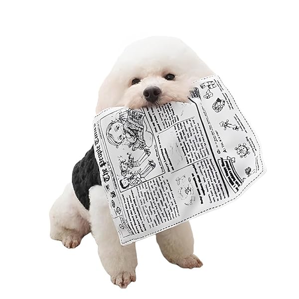 犬専用新聞おもちゃ 犬 おもちゃ 噛むおもちゃ 音が鳴る 知育おもちゃ 清潔 歯磨き 耐久性 噛み耐性 水..