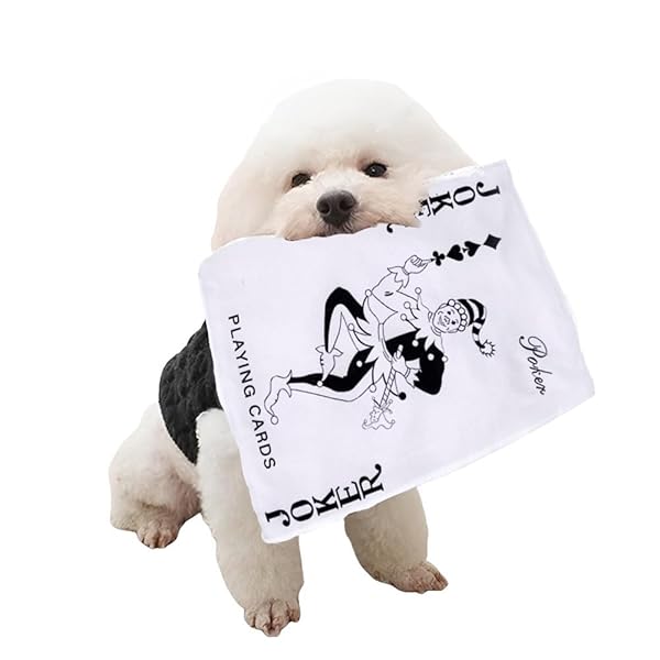 犬専用新聞おもちゃ 犬 おもちゃ 噛むおもちゃ 知育おもちゃ 音が鳴る 清潔 歯磨き 噛み耐性 水洗いOK ストレス解消 (B, 25*18CM)