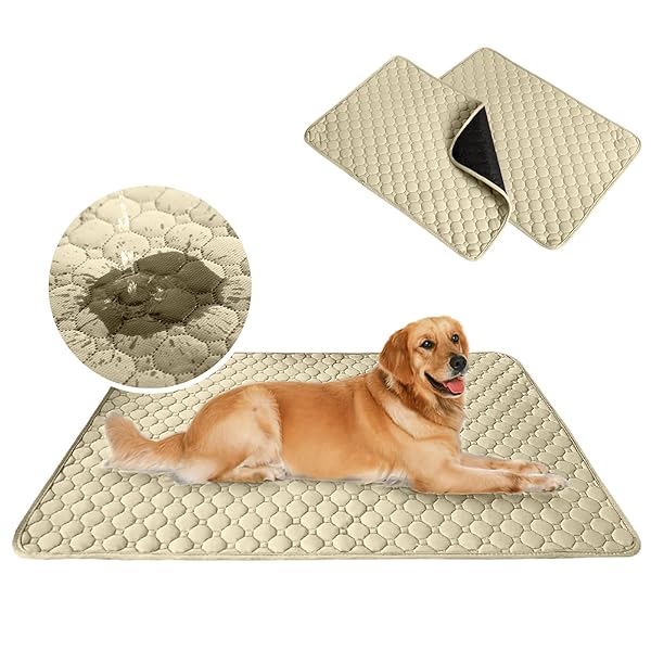 【2枚セット】 ペットシーツ 洗える 超吸収 四重構造 漏れ防止 犬 おしっこマット 滑り止め加工 速乾 ..