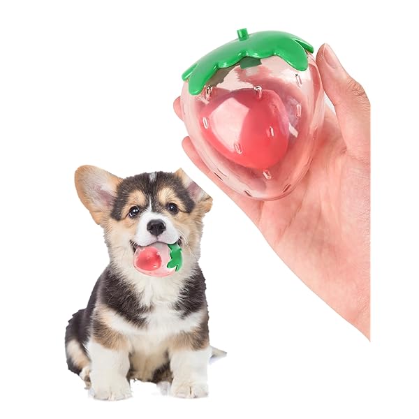犬用おもちゃ イチゴ型ボール 犬のおもちゃ 音が鳴る いぬ 玩具 投げる ペット オモチャ 洗える 中型犬/大型犬 噛むおもちゃ ストレス解消 誕生日/クリスマスのプレゼント 一人遊び 留守番