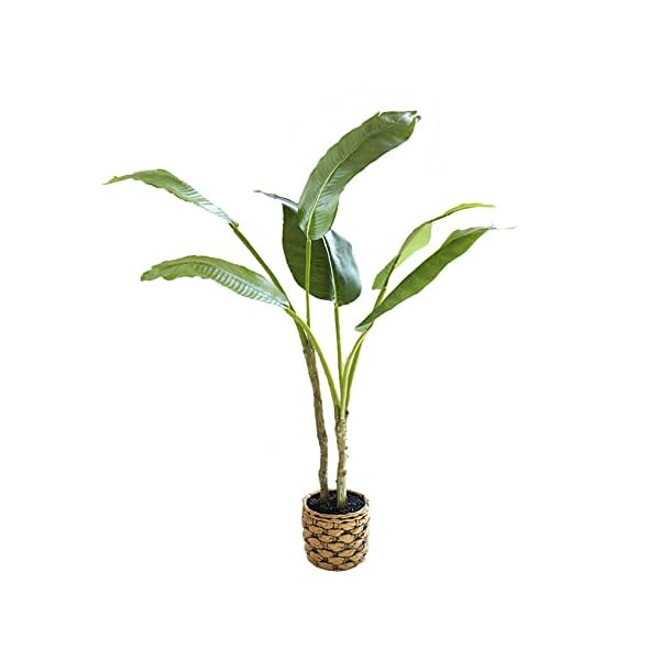 qinhome人工観葉植物 大型サイズ 光触媒 熱帯観葉樹 旅人木 モンステラフェイクグリーン フェイク 高さ64CM 簡単世話いらず 陶器鉢 鉢は取り外し不可 インテリア 屋内 リビング オフィス 空気清浄 (旅人木)