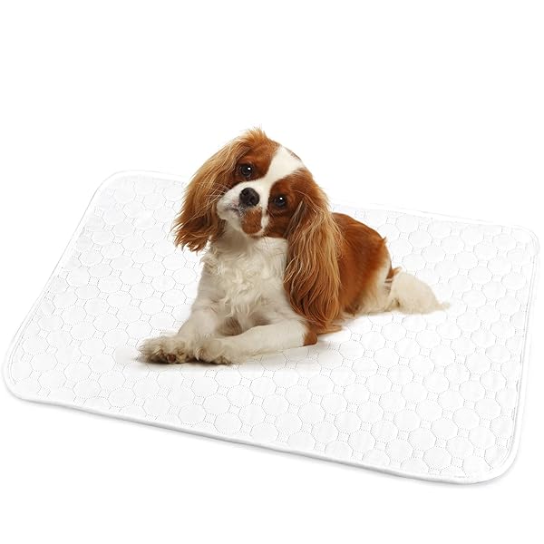 ペットシーツ 洗える 猫 犬用 おしっこパッド ペット用 トイレ下敷きマット 速乾 洗える 大判サイズ 多頭飼いに最適(ホワイトM 二枚セット)