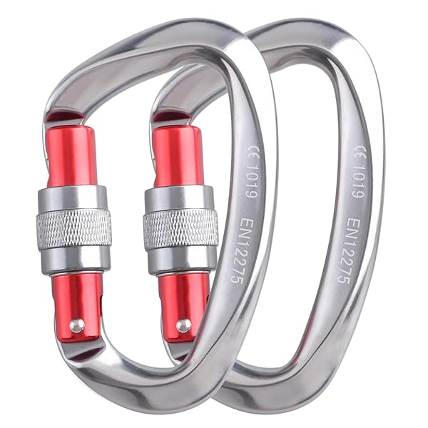 ロックカラビナ 登山釦 超軽量 アルミカラビナ クライミング ロッキンカラビナ ハンモック キャンプ用 セルフロック バックパックフック 脱落防止 (25kNグレー2個)