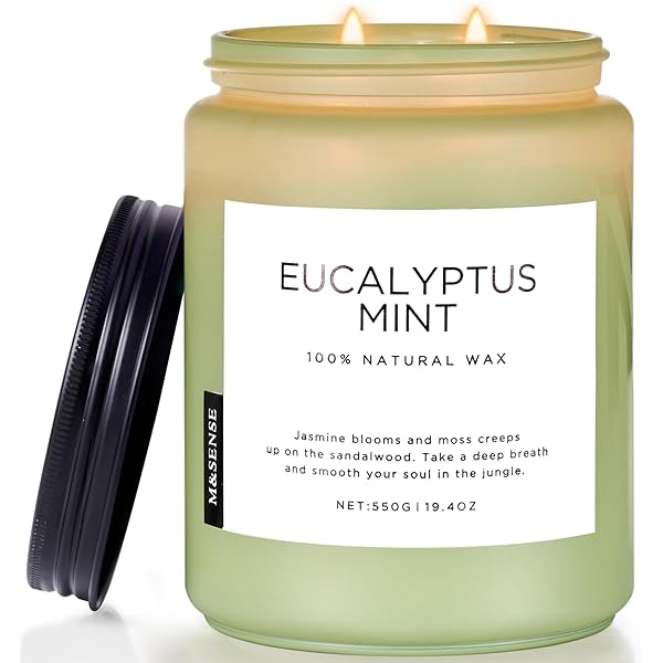 アロマキャンドル 人気 ユーカリ＆ミントの香り 大型 550g 110時間 2本の芯 ラベンダー の香り おしゃれ ソイキャンドル ジャーキャンドル 癒しグッズ ホワイトデー バレンタイン 母の日 ギフト 女性向け プレゼント