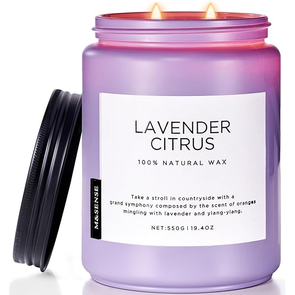 アロマキャンドル 人気 ラベンダーの香り 大型 550g 110時間 2本の芯 ラベンダー の香り おしゃれ ソイキャンドル ジャーキャンドル 癒しグッズ ホワイトデー バレンタイン 母の日 ギフト 女性向け プレゼント